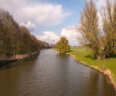 Nat. park de Biesbosch